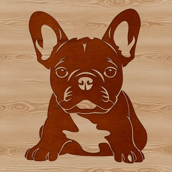 A sitting French Bulldog breed animal illustration in vector format.