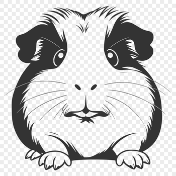 A high-quality illustration of a Guinea Pig in vector format.