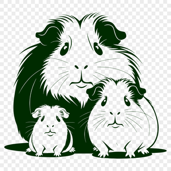 Guinea pig graphic illustration for digital design and crafting projects.