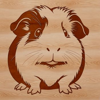 A close-up illustration of a guinea pig's face with distinctive features.