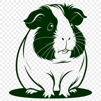 Guinea pig illustration in vector format suitable for digital design.
