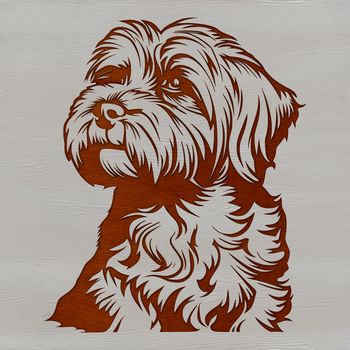 A small breed dog with a friendly expression, depicted in a detailed vector illustration.