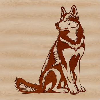 A sitting husky dog with a calm expression.