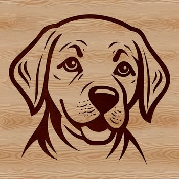 A close-up of a dog's head featuring the distinctive features of a Labrador Retriever breed.