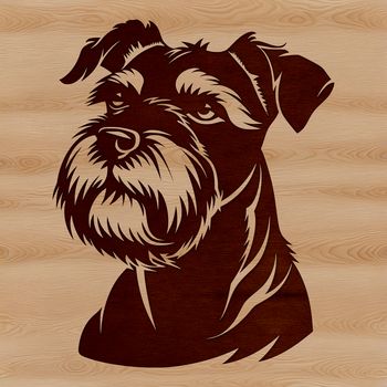 A detailed vector illustration of a Miniature Schnauzer's head, ideal for custom clip art and designs.