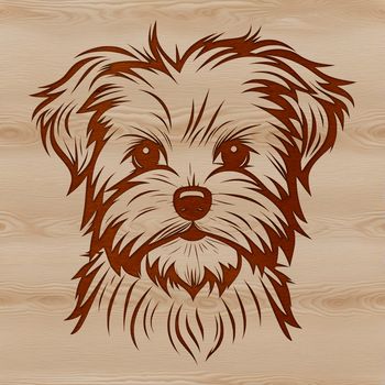 A small dog breed, the Morkie, depicted as a vector illustration with detailed features.
