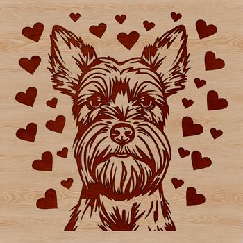 Illustration of a miniature schnauzer's head with heart elements added.
