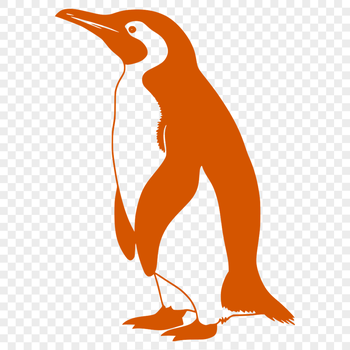 A simple line drawing of a penguin, a type of flightless bird, in vector format.