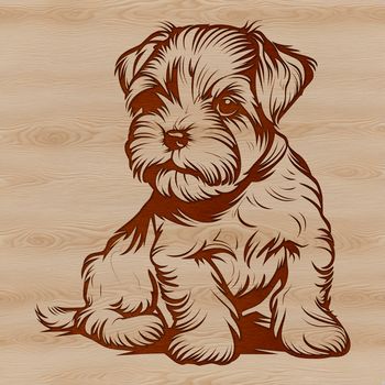 A vector illustration of a seated Miniature Schnauzer dog with distinctive beard and eyebrows.