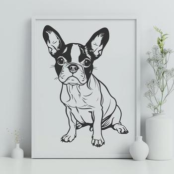 A cute sitting dog breed.