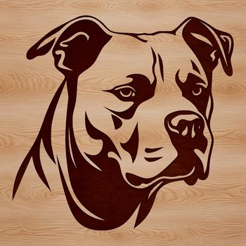 A high-quality vector illustration of a Pitbull's head, suitable for digital design projects.