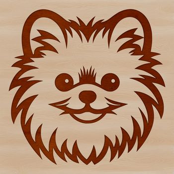 A simple line drawing of a Pomeranian dog's head, suitable for vector art designs.