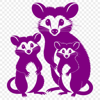 A realistic illustration of a possum, a wild animal native to various parts of the world.