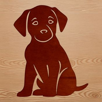 A sitting Labrador Retriever breed dog with a friendly expression.