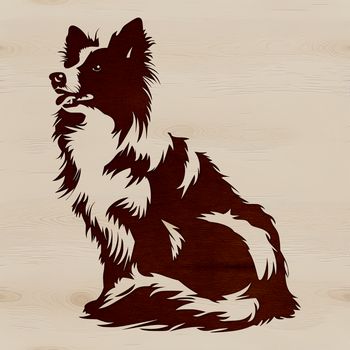 A high-quality vector illustration of a Shetland sheepdog sitting on its haunches.