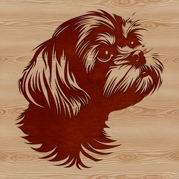 A close-up illustration of a Shih Tzu's head with facial features and fur texture.