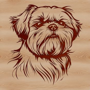 A portrait illustration of a Shih Tzu dog's head, suitable for vector graphics and digital design projects.