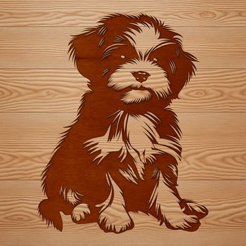 A small-sized Shih Tzu dog sitting on a surface.