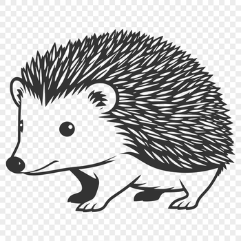 A graphic representation of a hedgehog, created with scalable lines and shapes.