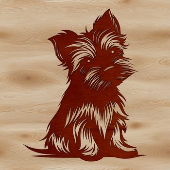 A small breed dog sitting on its hind legs, recognizable as a Yorkshire terrier with distinctive features.