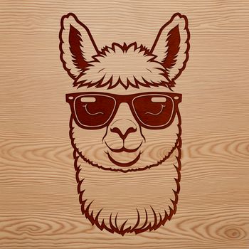 An illustration of a South American camelid wearing sunglasses in a casual pose.