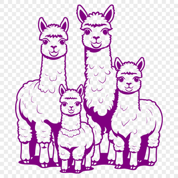 A high-quality digital illustration of a South American camelid with a fuzzy coat and long neck.