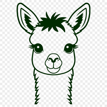 Vector illustration of a South American camelid animal.