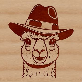 A South American camelid wearing a hat.