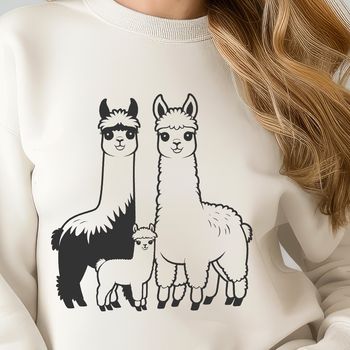 A South American camelid with a fluffy coat and banana-shaped ears.