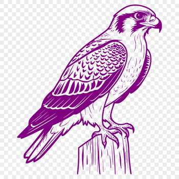 Vector graphic design of a bird of prey, showcasing the characteristics of a falcon.