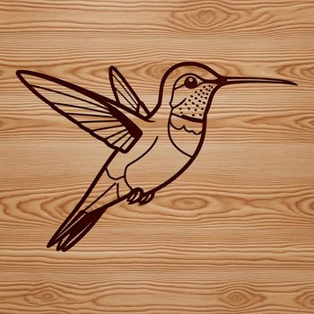 SVG design of a hummingbird animal silhouette