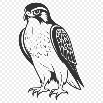 A detailed silhouette vector design of a falcon bird, suitable for cutting machines and laser engraving.