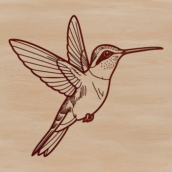 SVG design of a bird species known as the hummingbird.