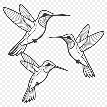 A vector design of a hummingbird perched on a flower.