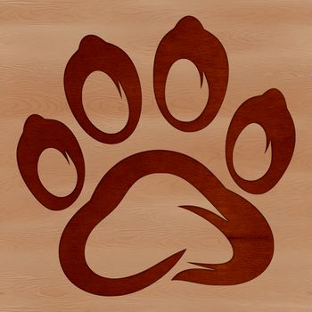A digital illustration of animal paw prints in a single row.