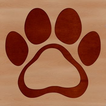 Close-up illustration of a single animal paw print with detailed texture.
