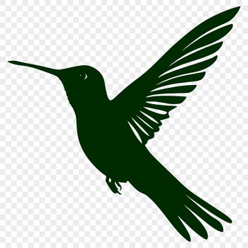A full-body illustration of a hummingbird in mid-flight, with feathers and wings fully rendered.