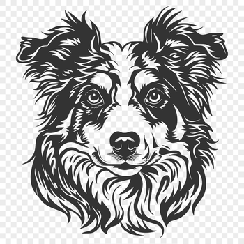 Illustration of a medium-sized Australian Shepherd dog with a distinctive head shape and thick coat.