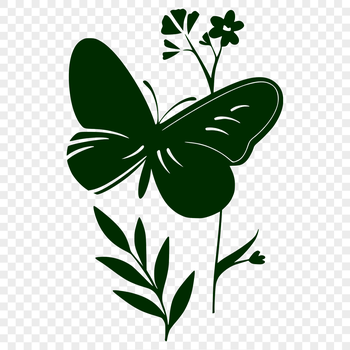 A colorful, detailed illustration of a butterfly from various angles, suitable for gardening and vector design projects.