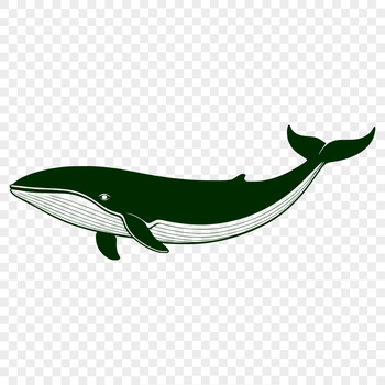 A detailed illustration of a whale in vector format, suitable for cutting and crafting with various machines.