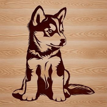 A Siberian Husky dog sitting on its haunches, depicted in detailed vector illustration.