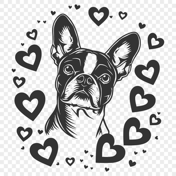 A Boston Terrier dog breed illustration with heart elements.