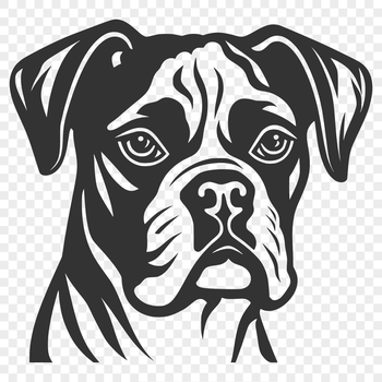 A detailed illustration of a Boxer dog's head in a vector format.