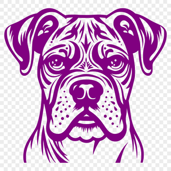 Close-up illustration of a Boxer dog's head, suitable for various designs.