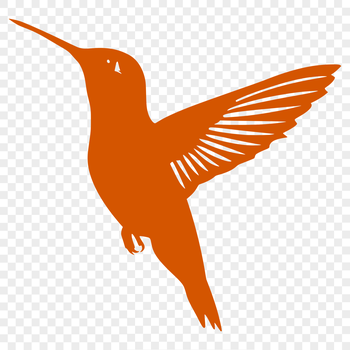 A detailed illustration of a hummingbird in full body pose, captured in mid-flight.