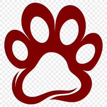 Close-up illustration of animal paw prints in various shapes and sizes