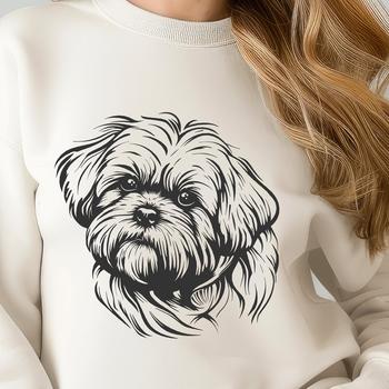 Stunning Shih Tzu Image