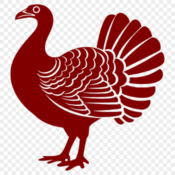 A detailed illustration of a turkey, showing its full body in a farm setting.