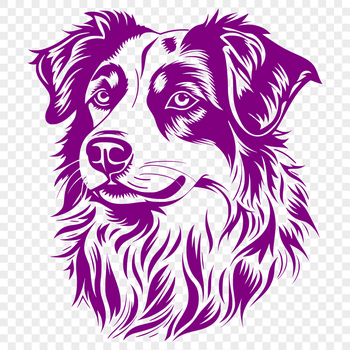 A medium-sized dog with a distinctive blue merle coat, featuring a wedge-shaped head and erect ears.