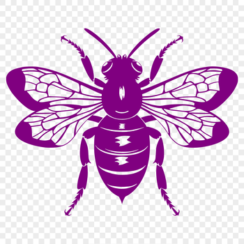 A realistic illustration of a bee in full body, suitable for various design projects.